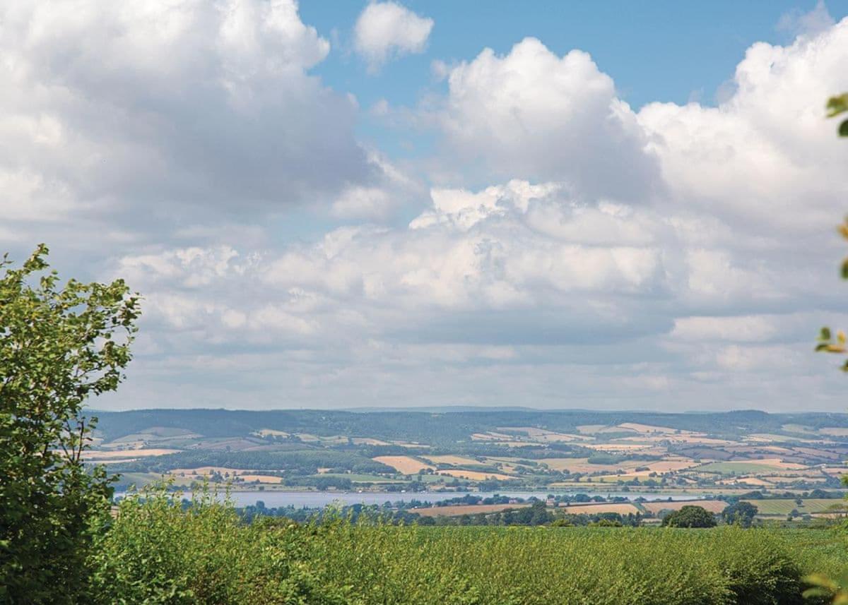 Castle Brake Holiday Park Woodbury Bagian luar foto