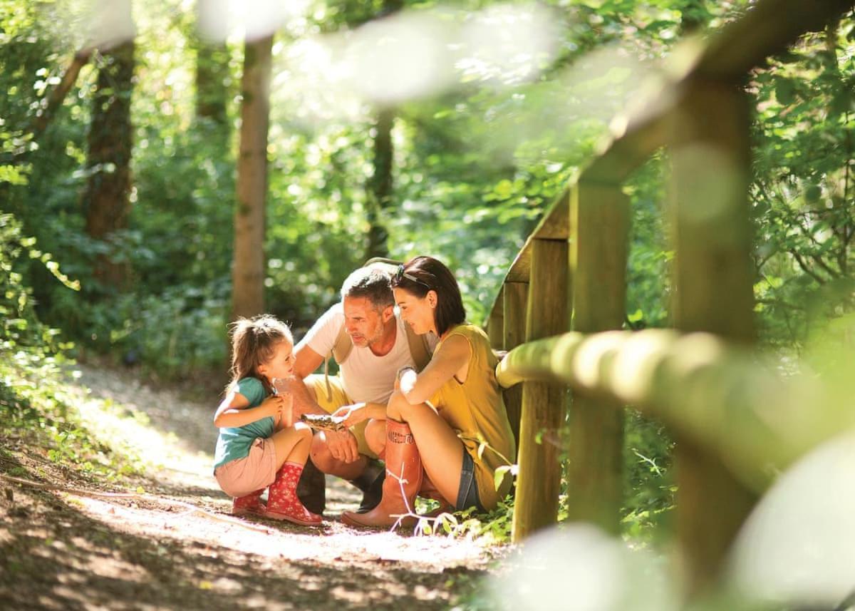 Castle Brake Holiday Park Woodbury Bagian luar foto